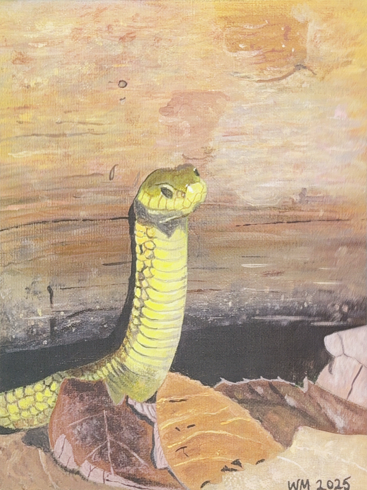 Snake - Art Print