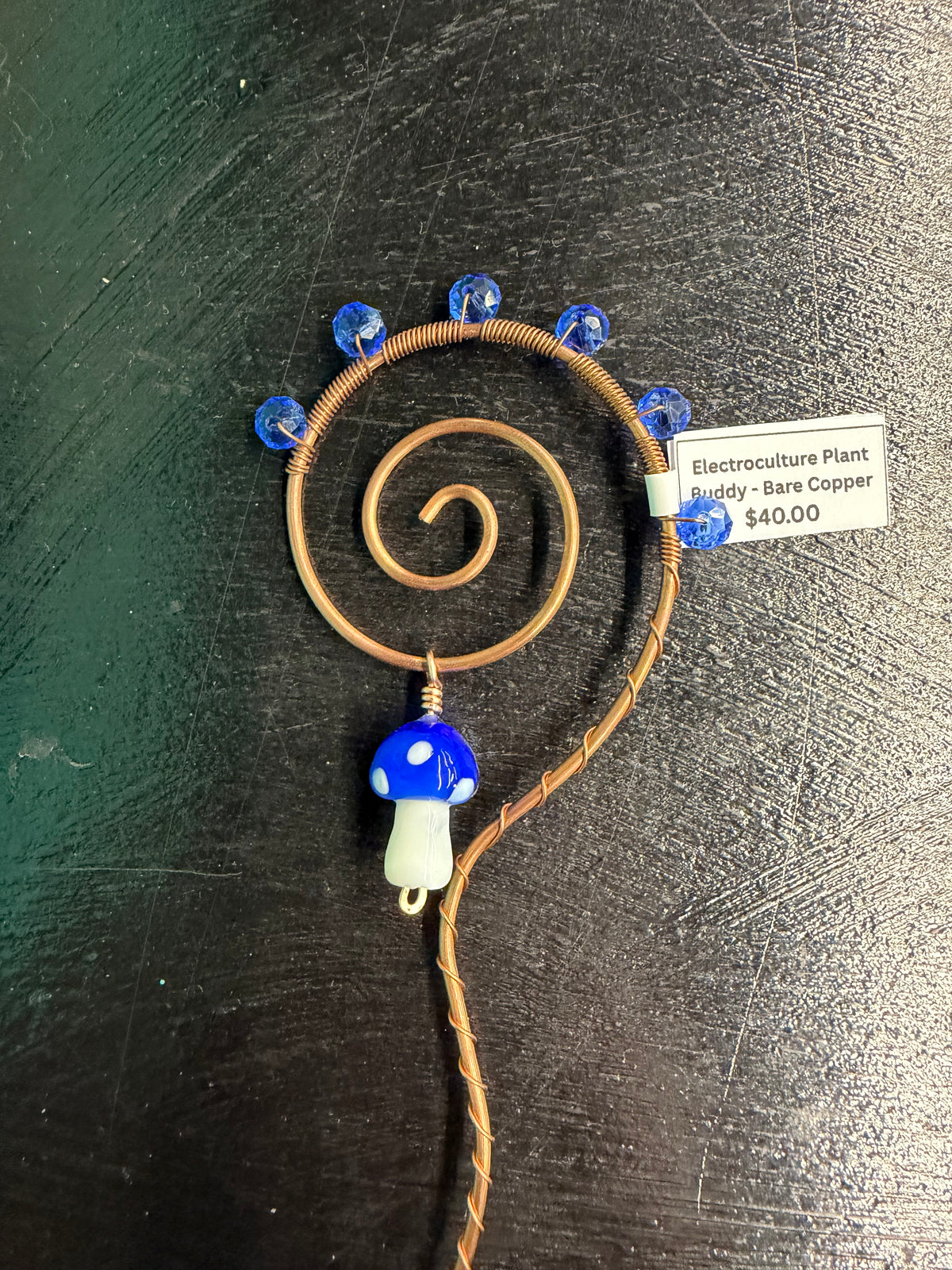 Wire Wrapped Electroculture - Plant Buddy