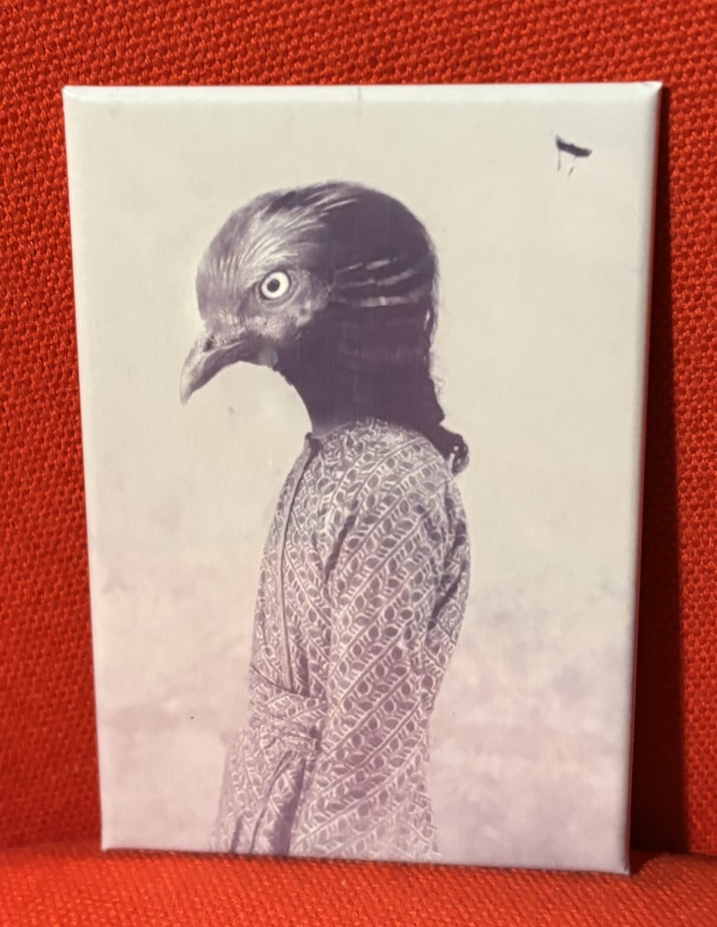 Birdwoman - magnet