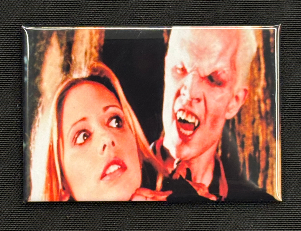 Buffy and Spike - magnet