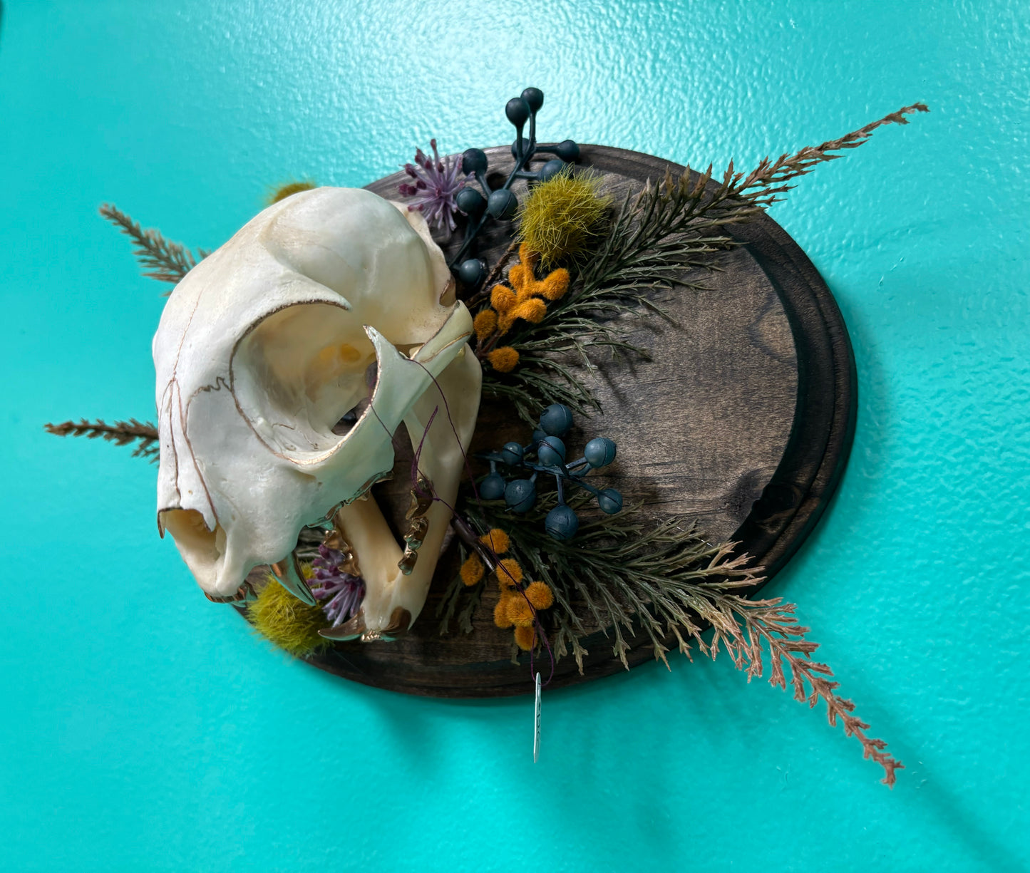 Plaque with Bobcat Skull - Wall Art