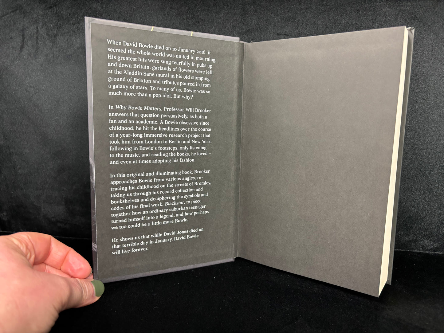 Why Bowie Matters - New Book