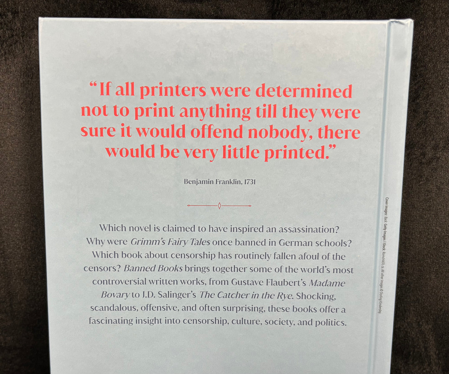 Banned Books Hardcover - Book