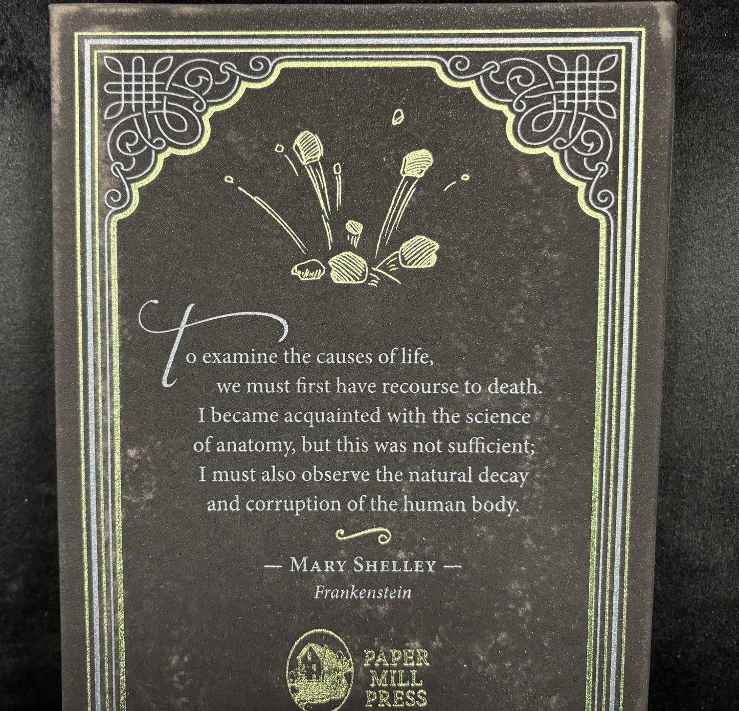 Frankenstein - Book