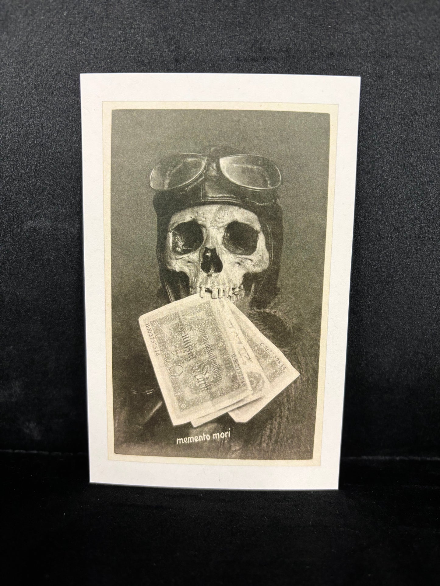 Skull with Pilot's Cap - Postcard