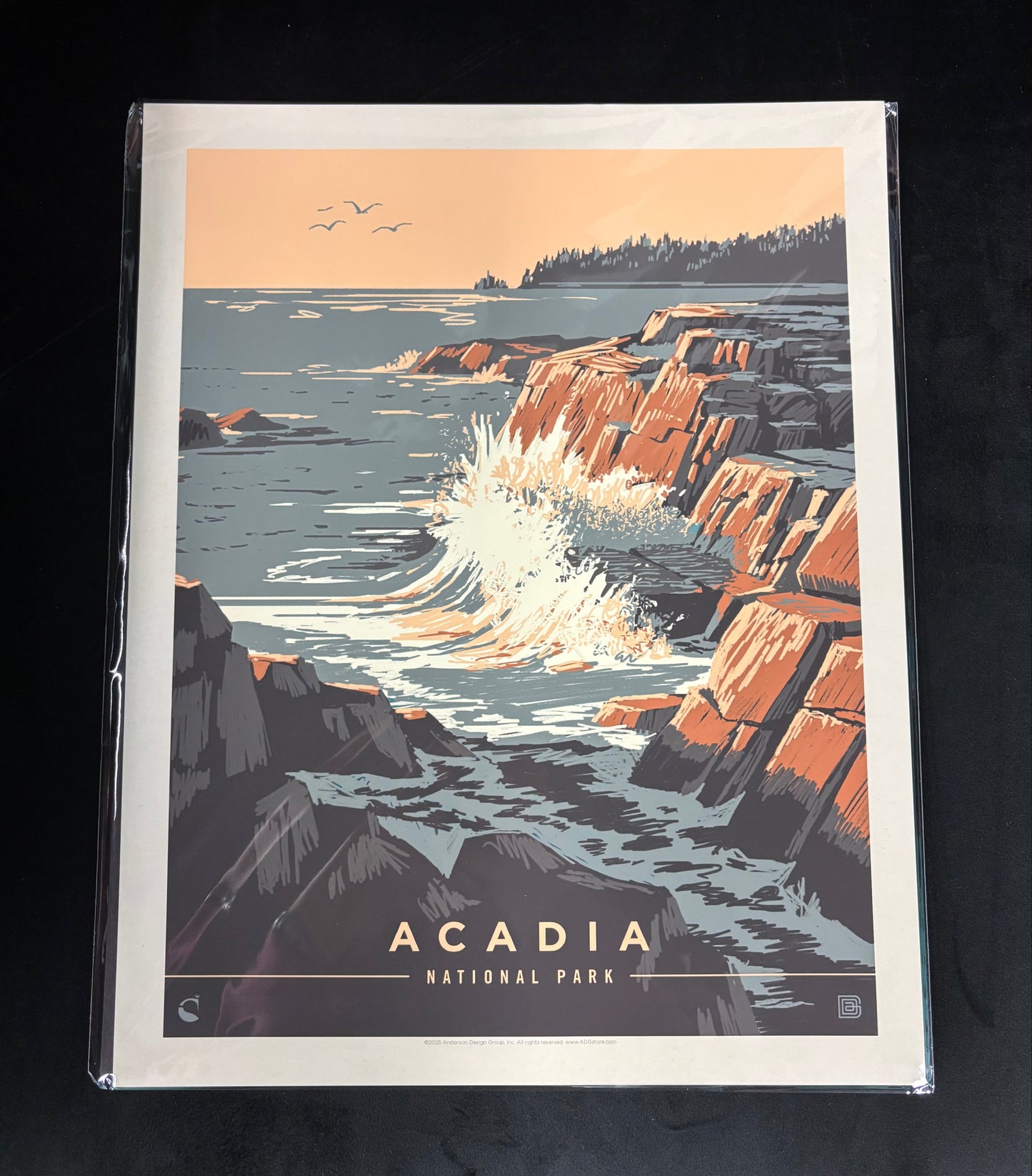 Acadia Secrets of the Sea - Art Print