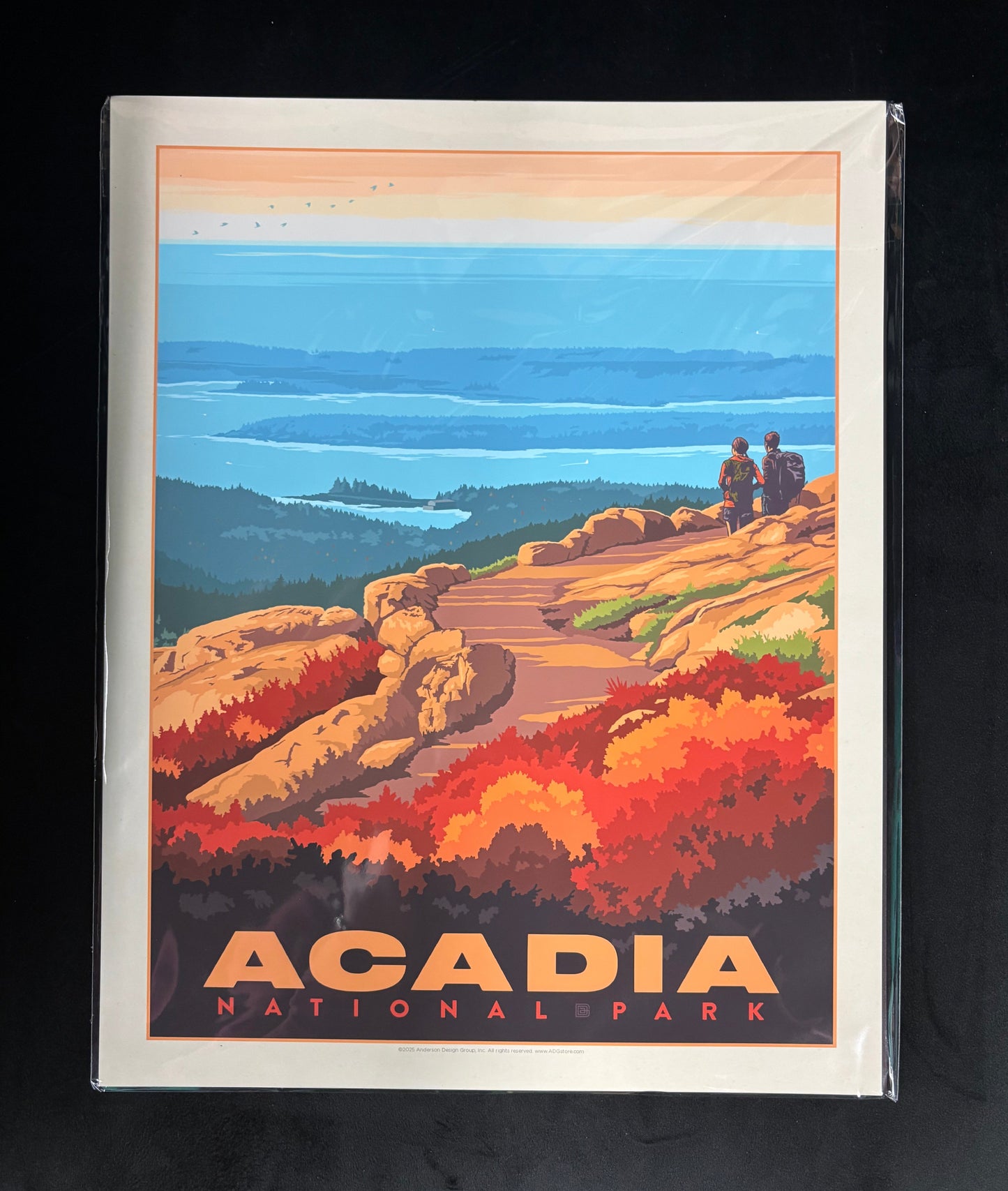 Acadia National Park - Art Print