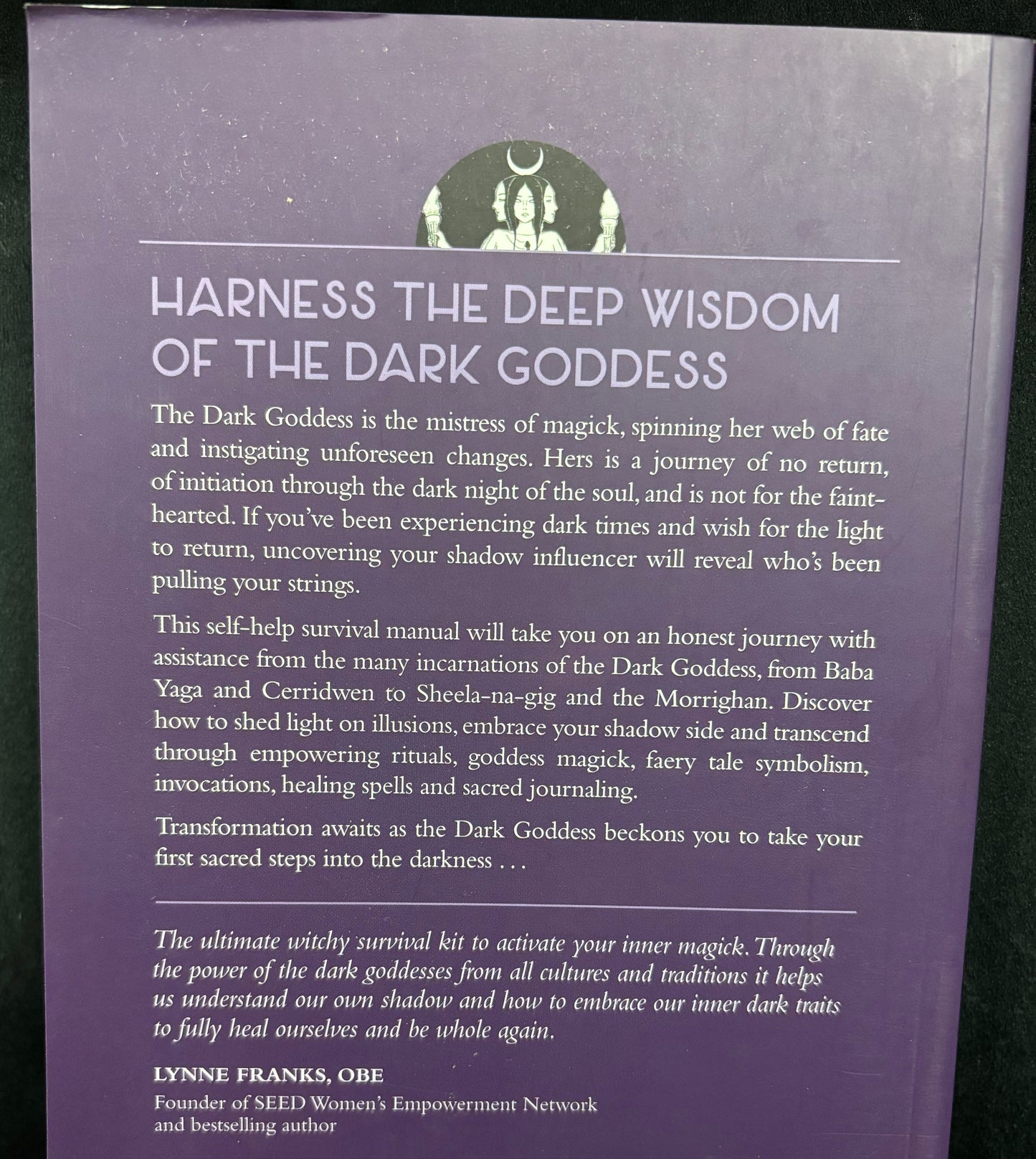 Reclaim Your Dark Goddess - Paperback Book