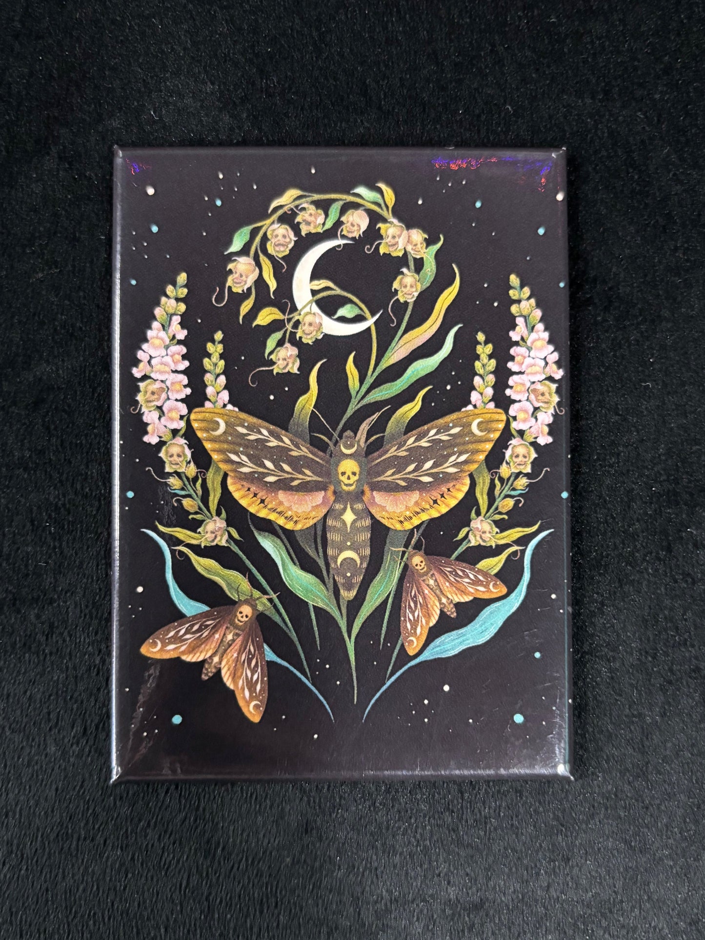 Death's Head Hawkmoth - Magnet