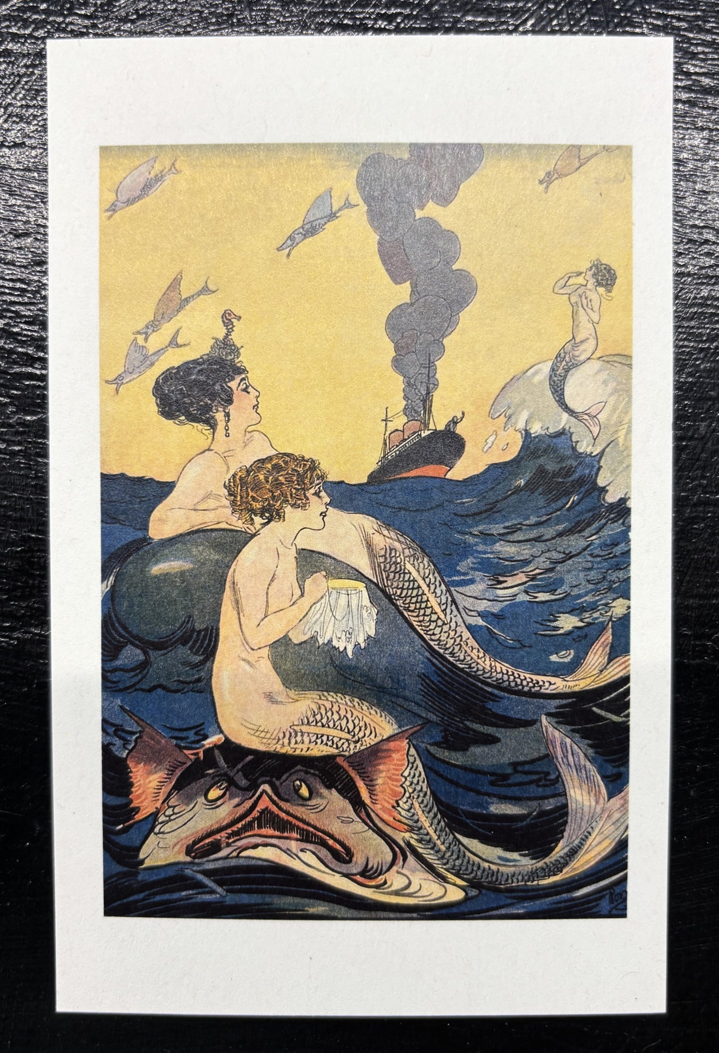 Mermaids - postcards