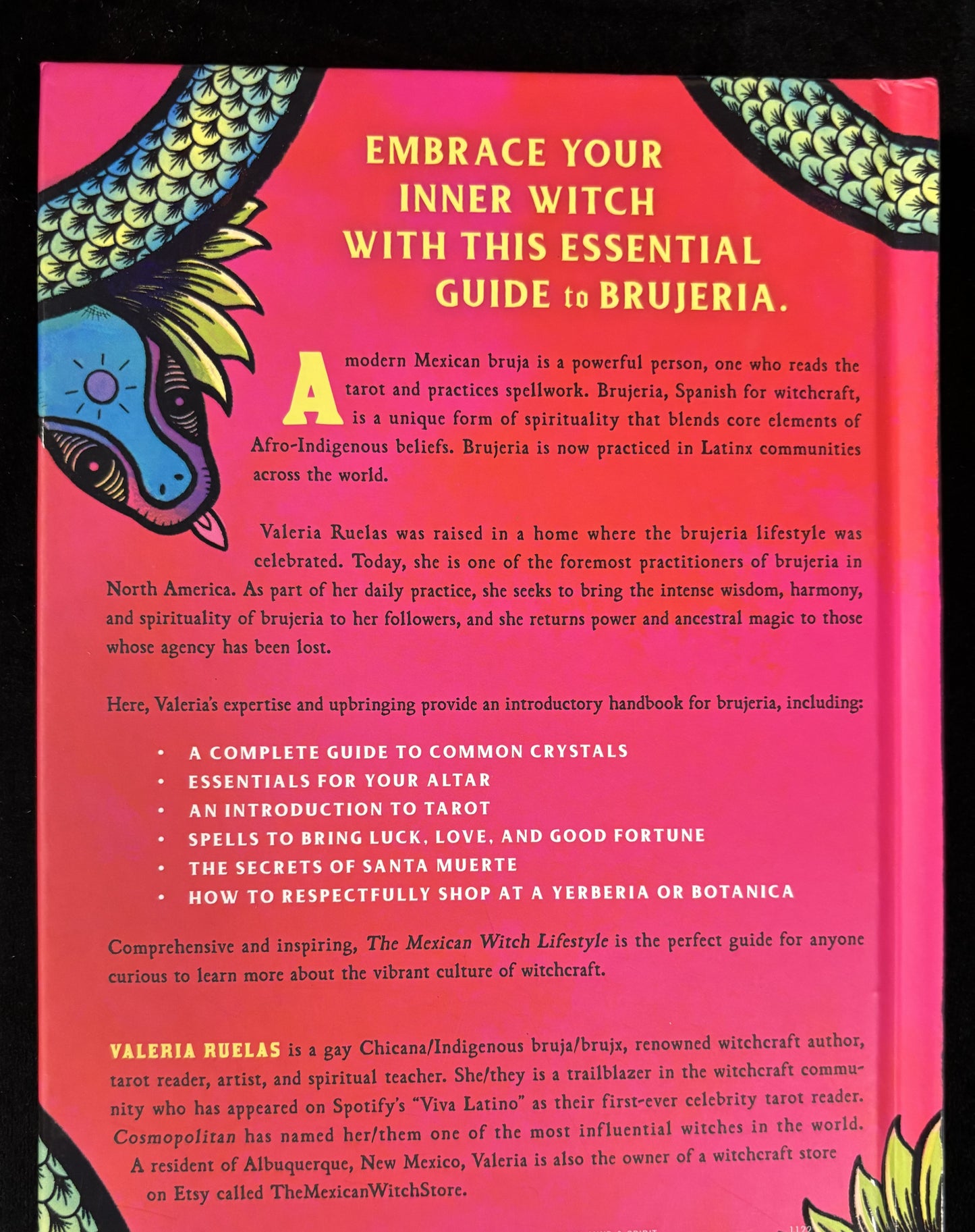 The Mexican Witch Lifestyle - book