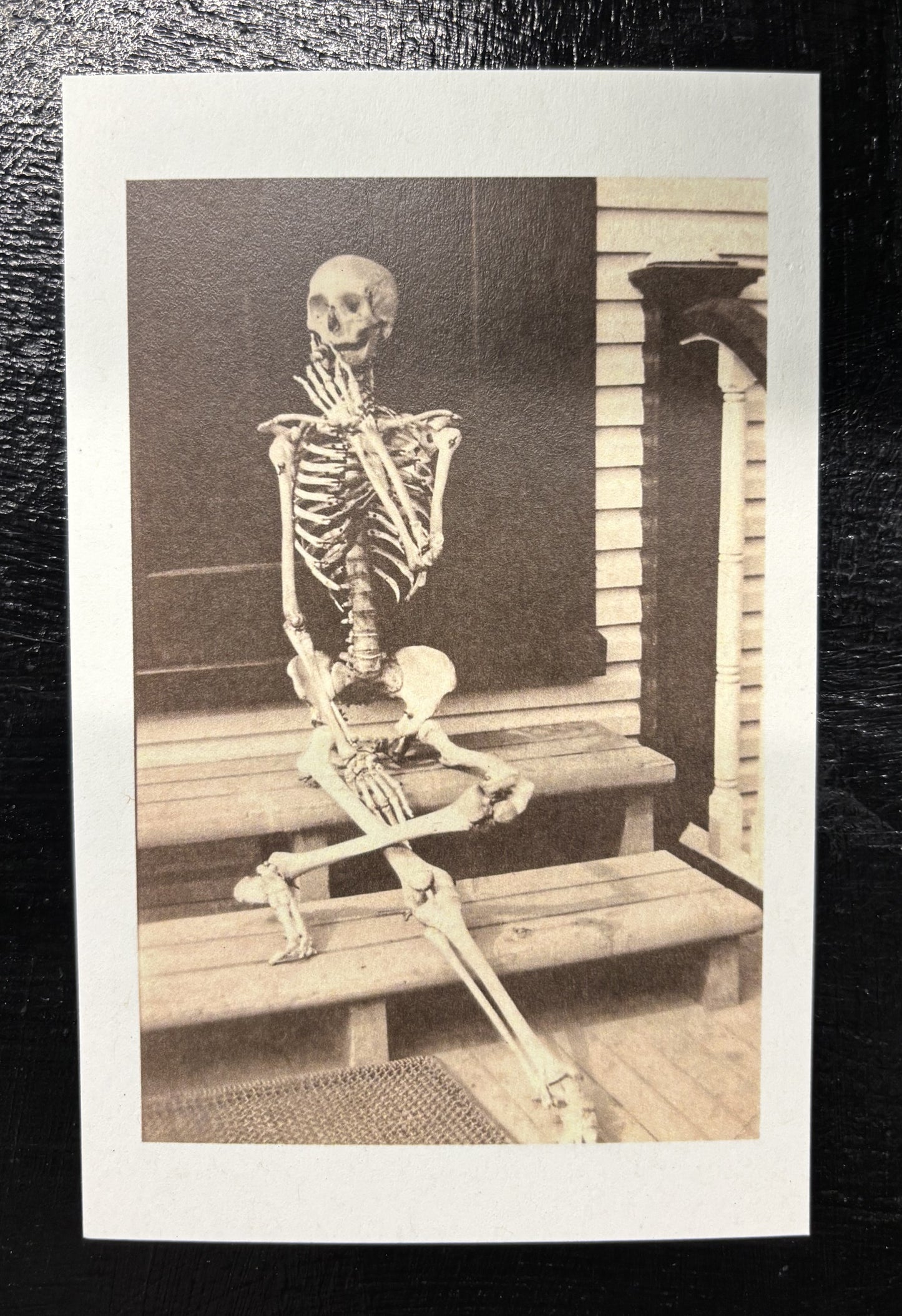 Skeleton on Steps - postcard