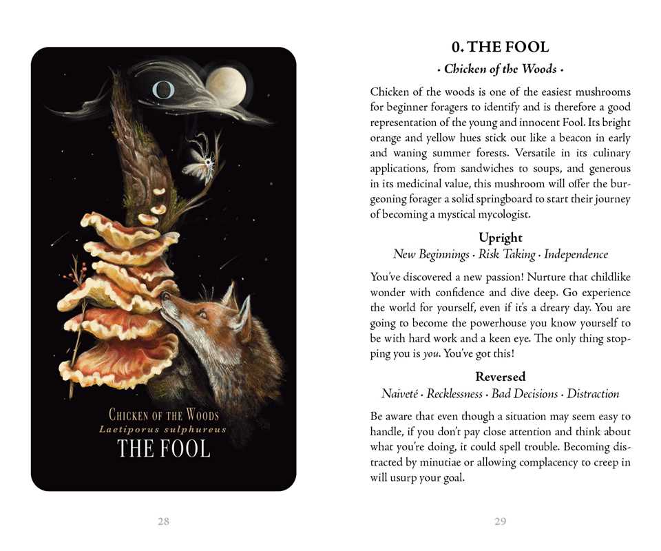 Midnight Magic - Tarot Deck