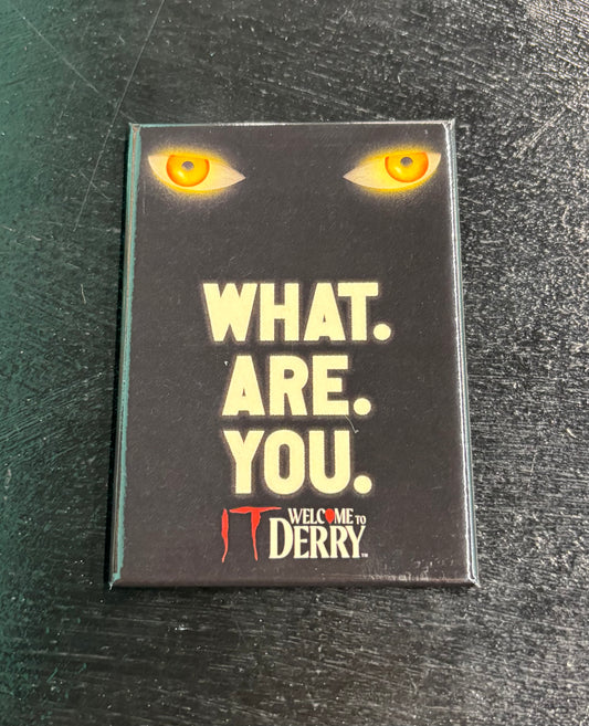 What Are You It Welcome To Derry - Magnet