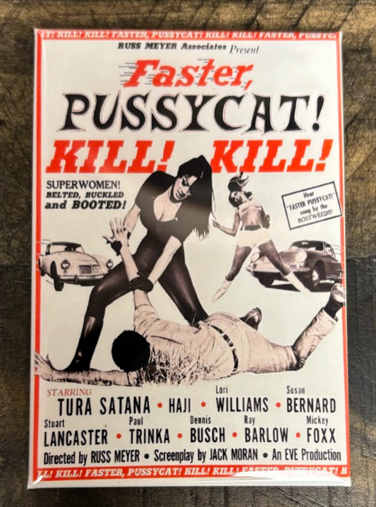Faster Pussycat - magnet