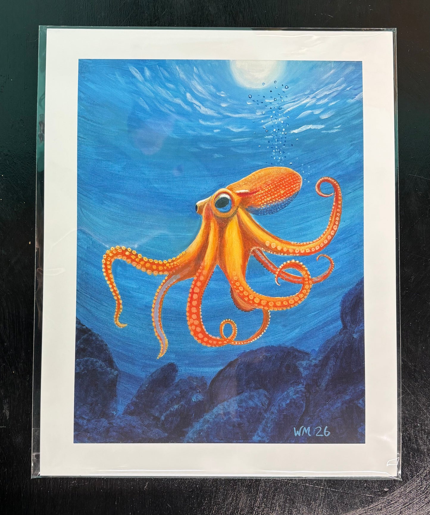 Octopus - Art Print