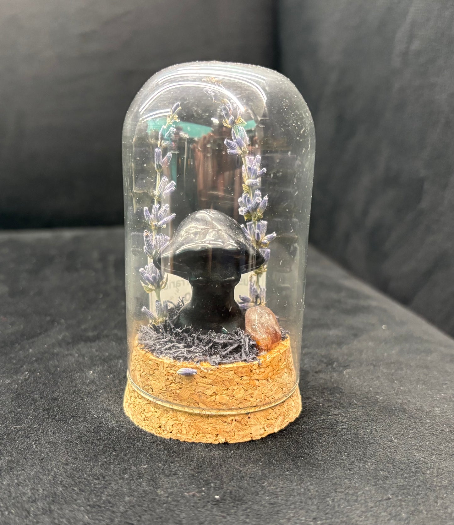Lady Body Mushroom Terrarium