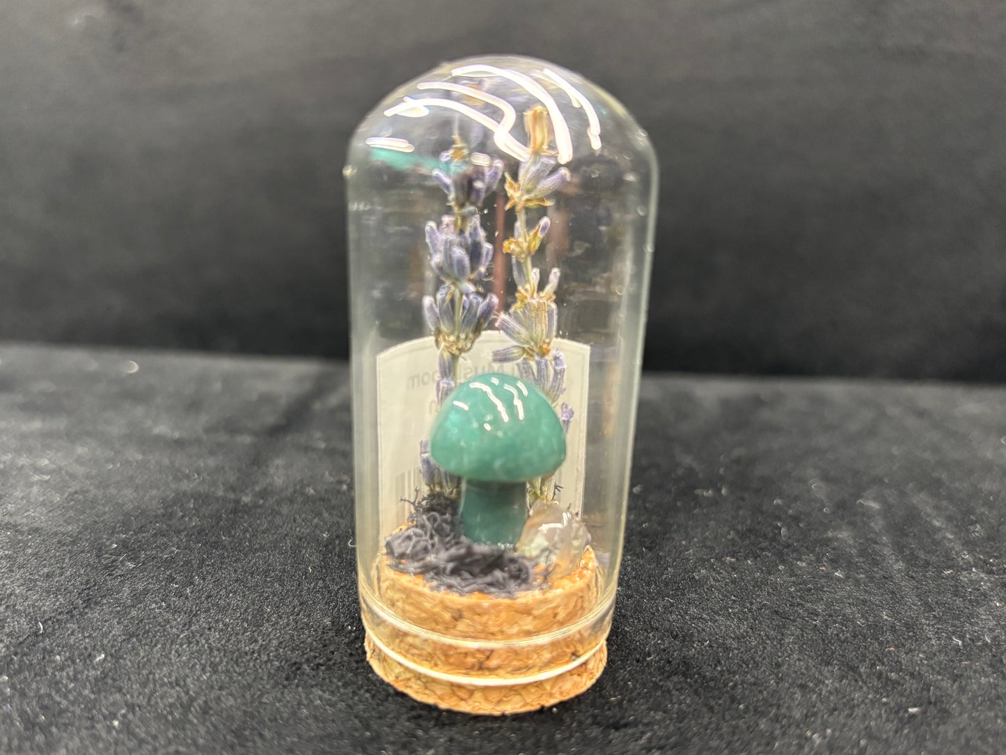 Mini Mushroom Terrarium