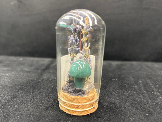 Mini Mushroom Terrarium