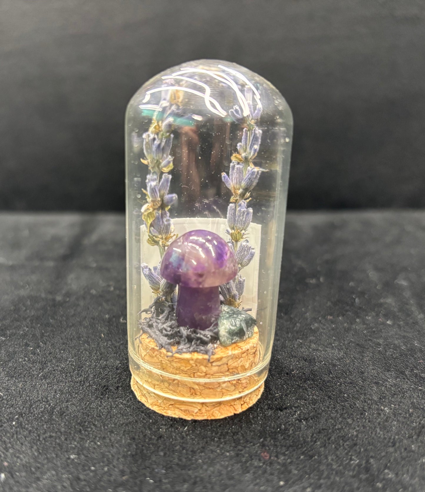 Mini Mushroom Terrarium