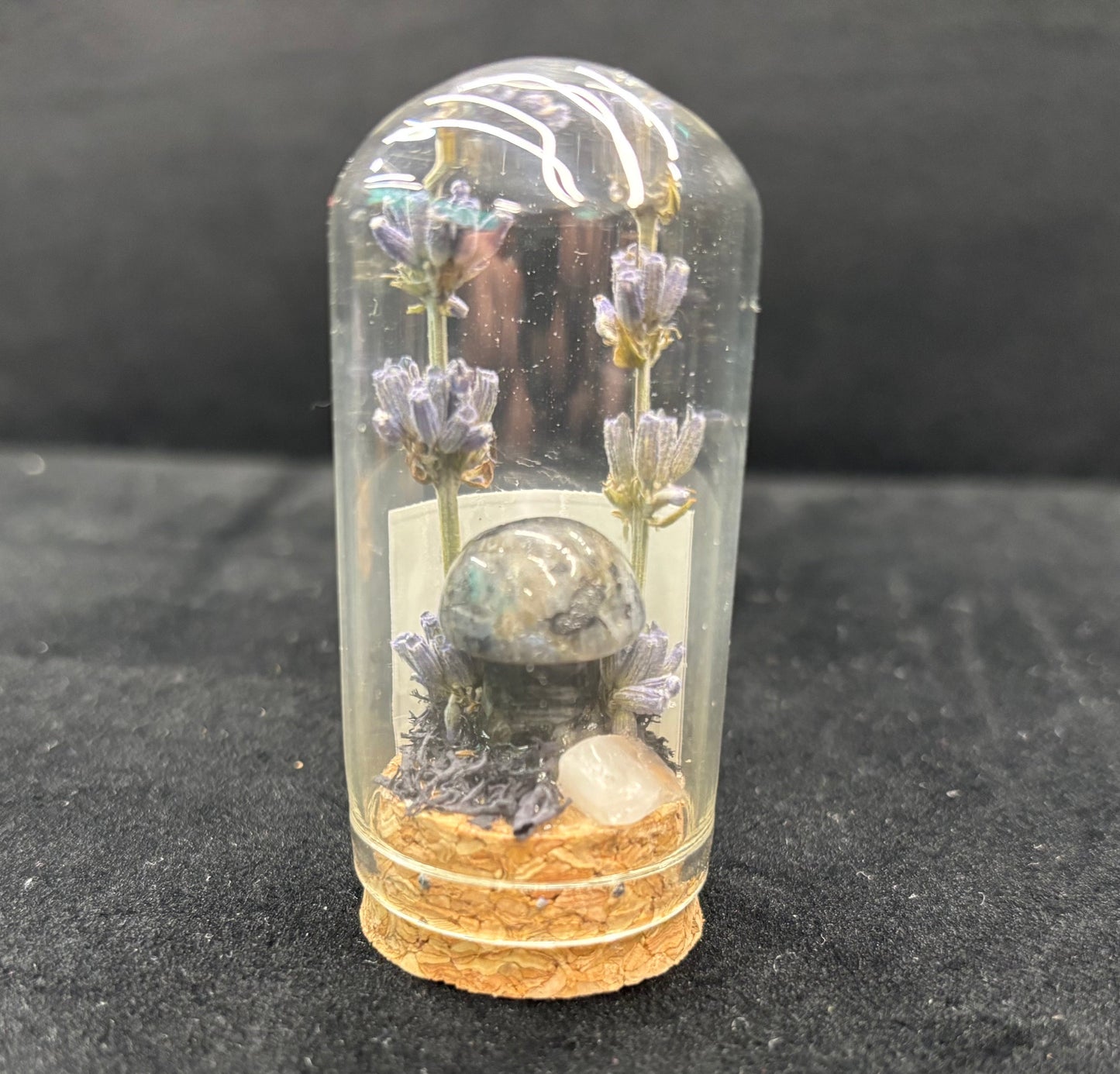 Mini Mushroom Terrarium