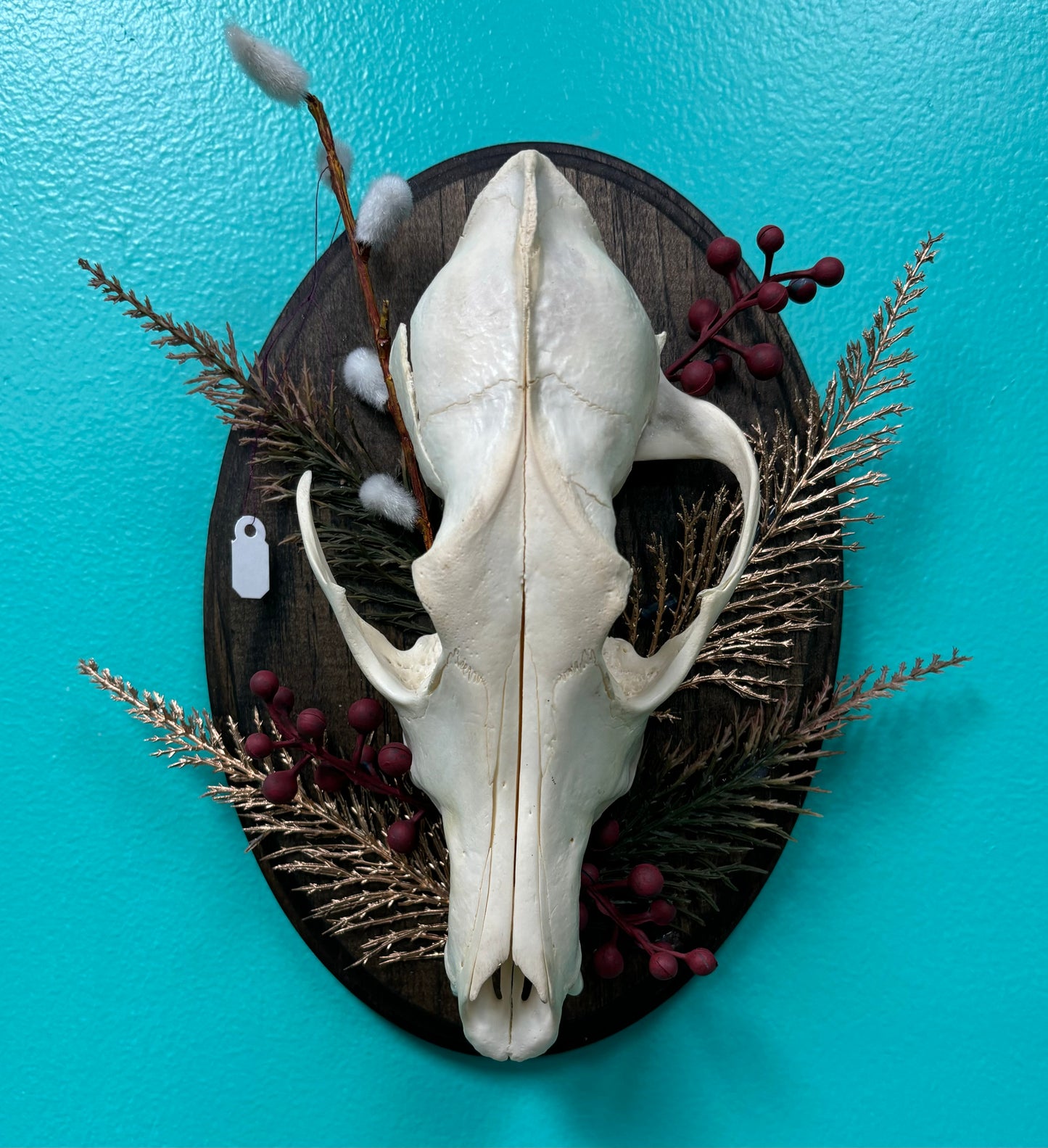 Plaque with Coyote Skull - Wall Art