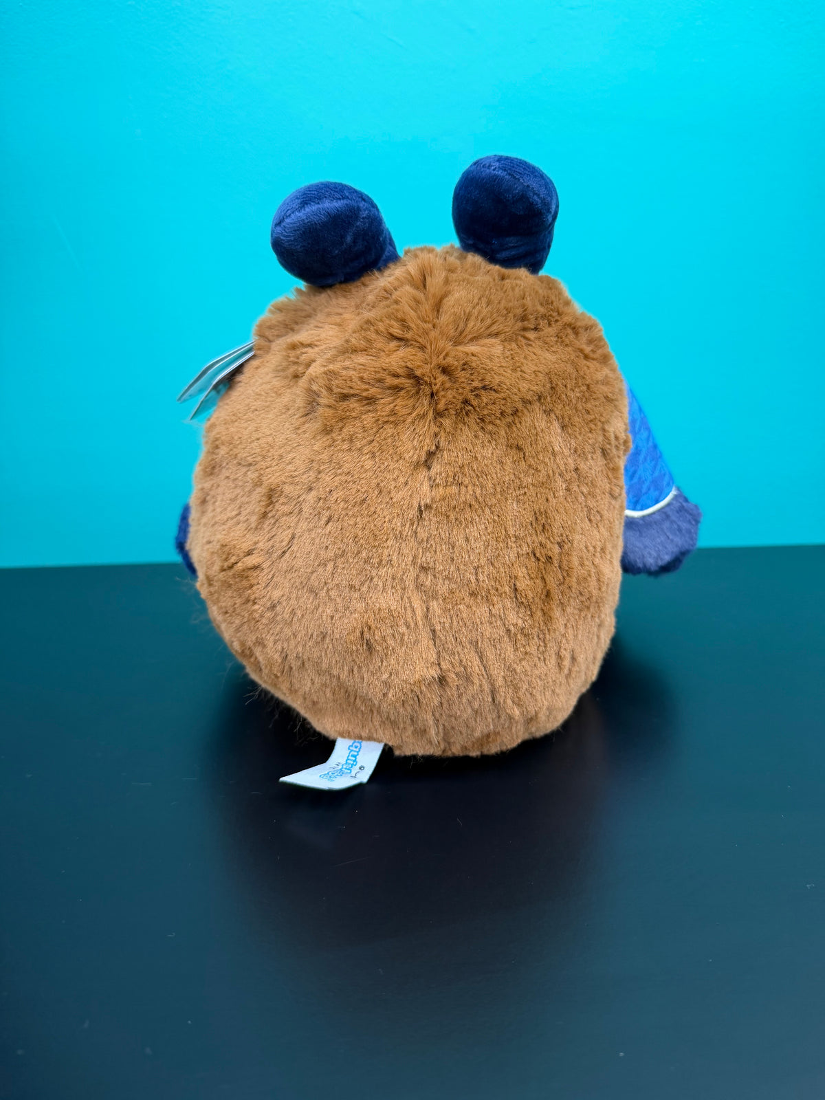 Academia Mothman - Mini Mothman