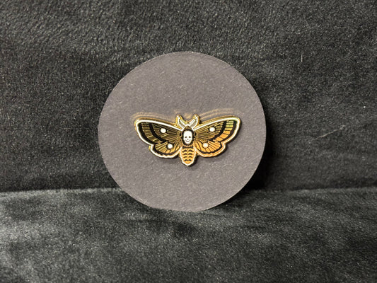 Death's Head Hawkmoth - Pin