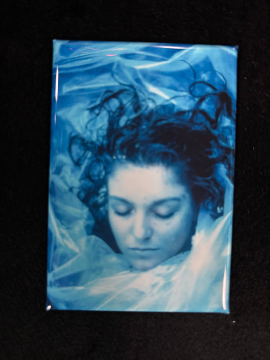 Twin Peaks - Laura Plastic - Magnet