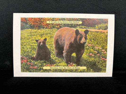 Bears from Maine - Postcard