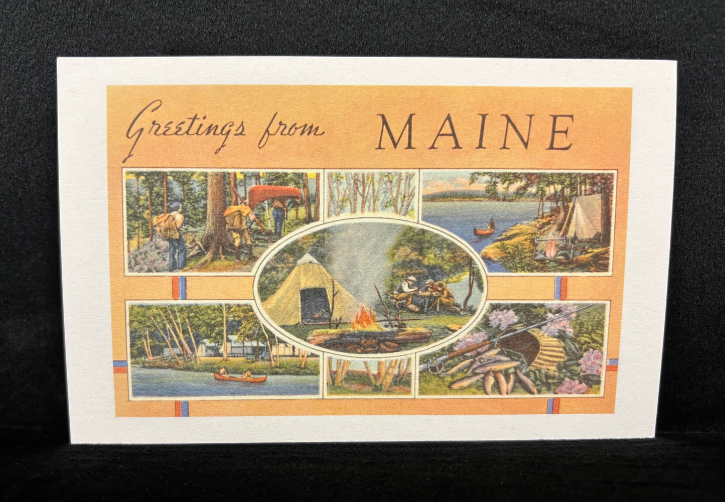 Maine Woodland Scenes - Postcard