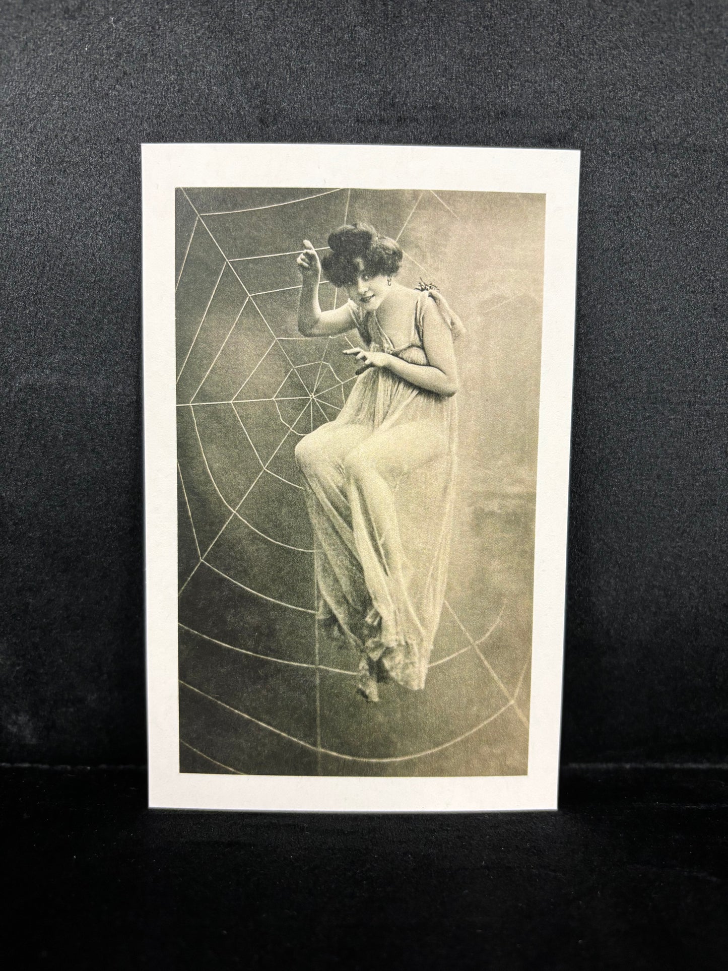 Diabolical Woman in Spider Web - Postcard