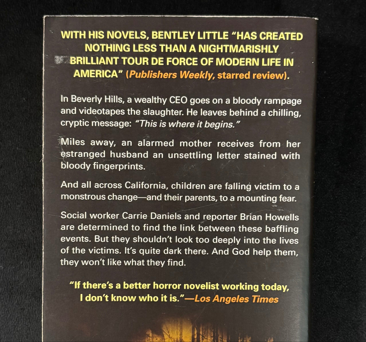 The Vanishing - Used Book