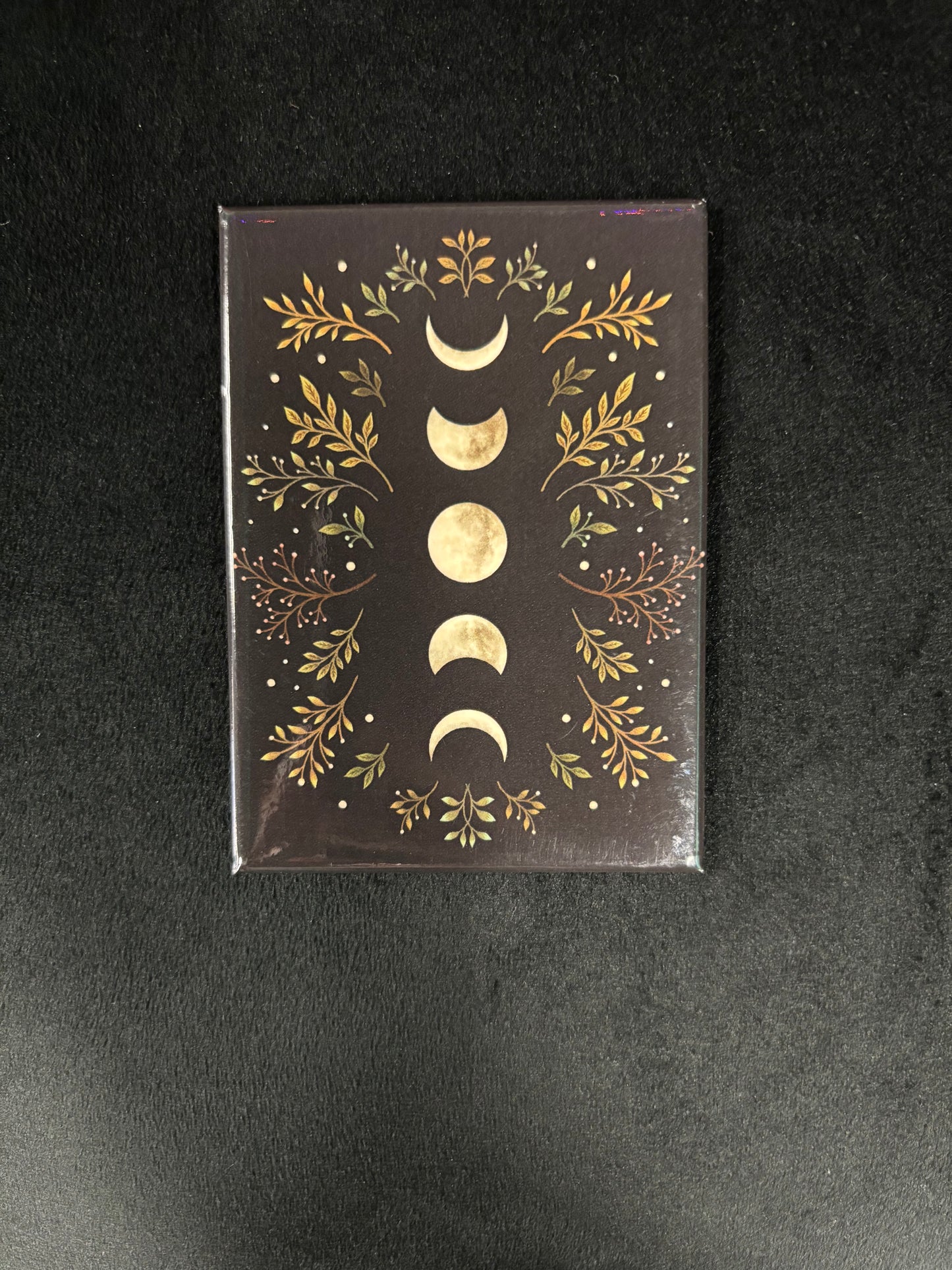 Moon Phases and Olive Branches - Magnet