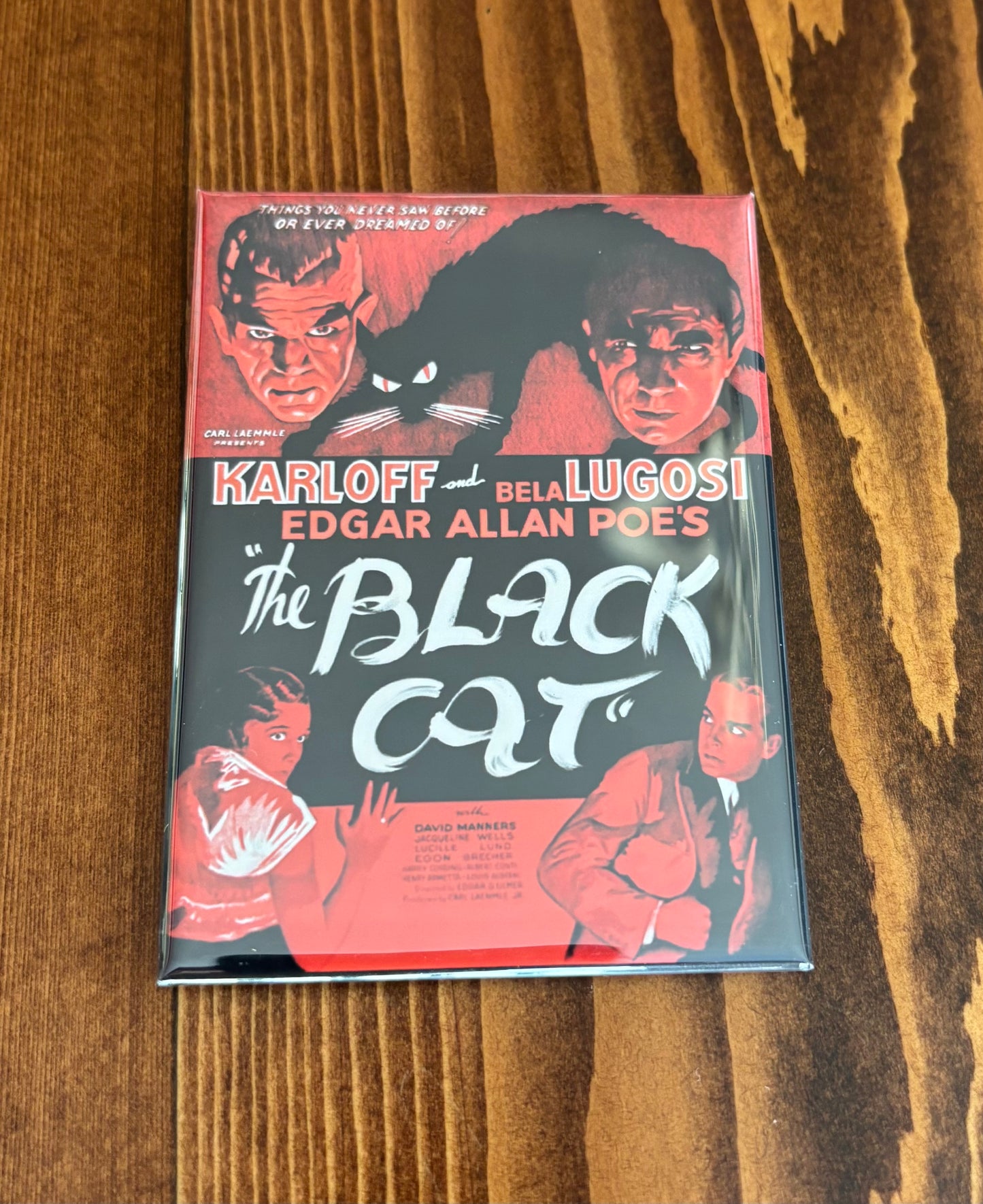 The Black Cat - Magnet