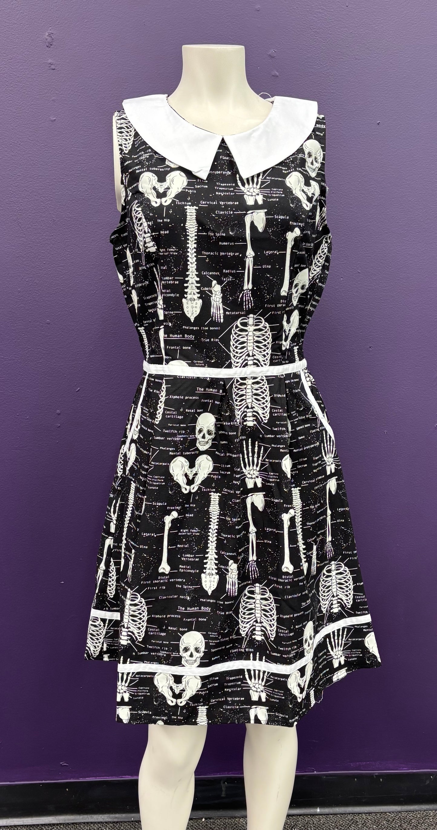 Anatomically Correct - Collared Dress