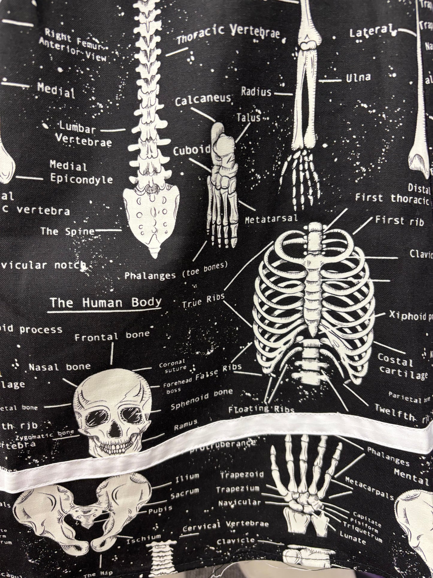 Anatomically Correct - Collared Dress