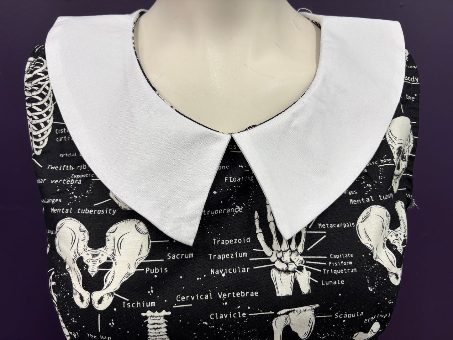 Anatomically Correct - Collared Dress