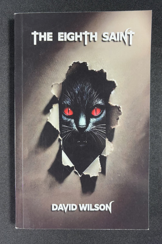 The Eighth Saint - book