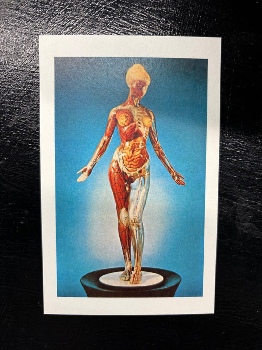 Transparent Woman - postcard