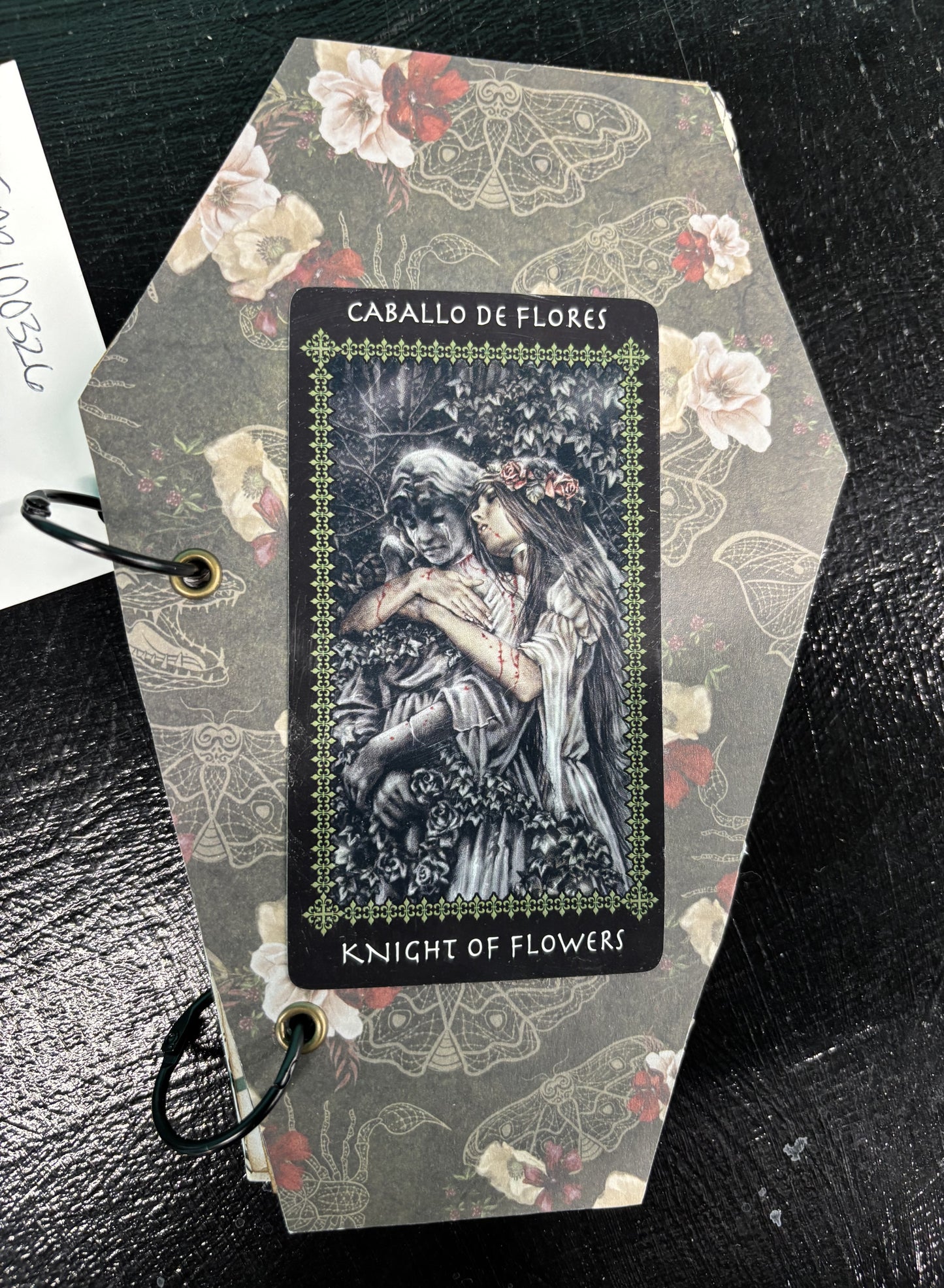 Caballo De Flores - coffin travel journal
